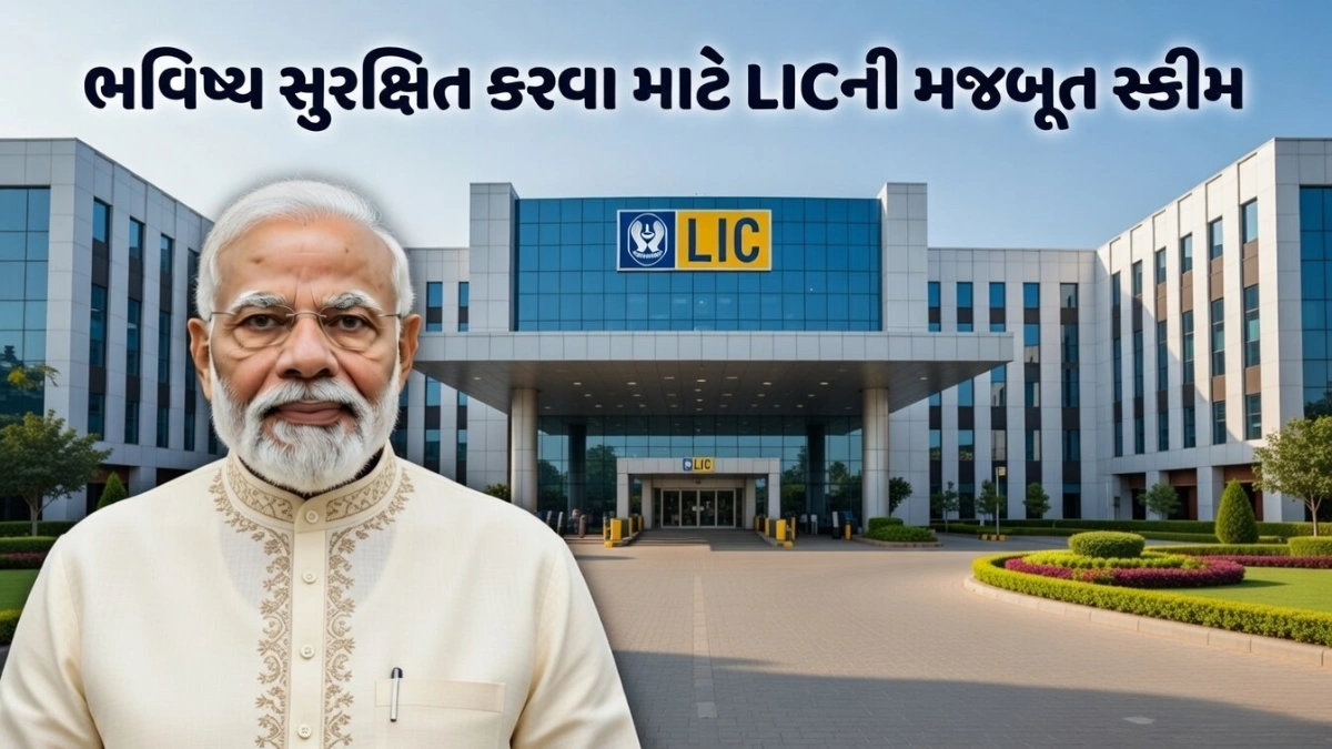 Daily Investment Plan